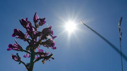 Am Dienstag wird es in Brandenburg bis zu 28 Grad warm.