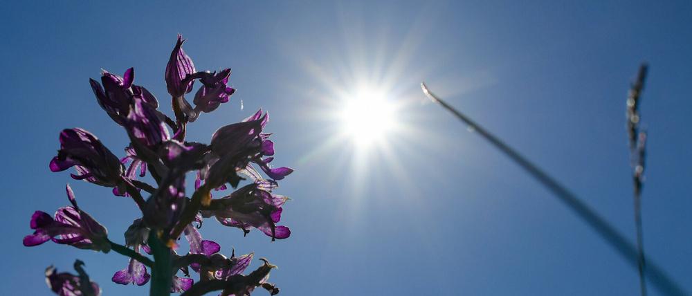 Am Dienstag wird es in Brandenburg bis zu 28 Grad warm.