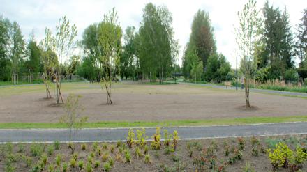 Das Gelände des künftigen Bürgerparks ist das Ziel von Vandalismus geworden.