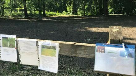 Abgemähte Blühwiese in Teltow am Zehnruthengraben.