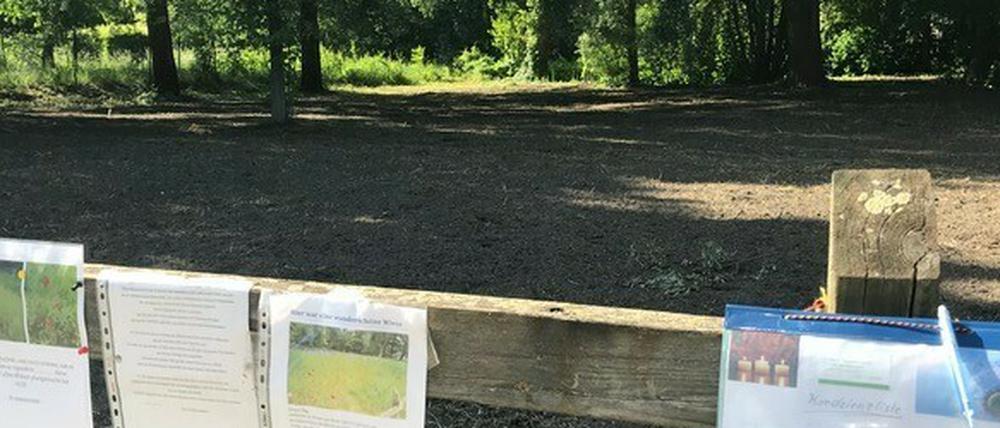 Abgemähte Blühwiese in Teltow am Zehnruthengraben.