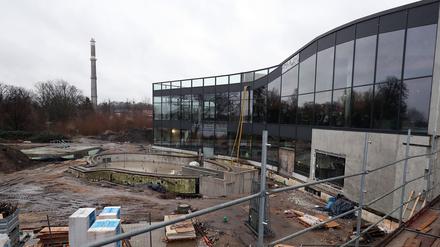 Die Therme im Bau, aufgenommen im März diesen Jahres. 
