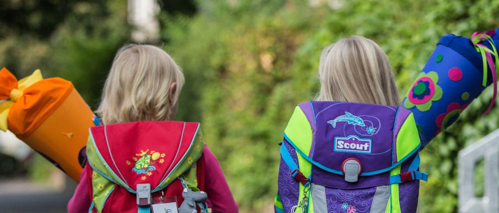In rund zwei Monaten geht für viele Potsdamer Kinder der Schulalltag los (Symbolbild).