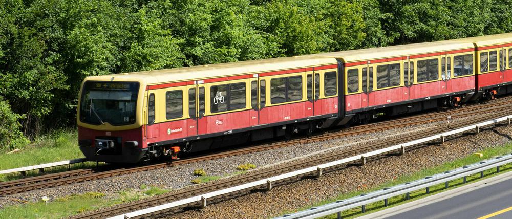 Fast alle Linien in Berlin und Brandenburg werden von den Baumaßnahmen sein.