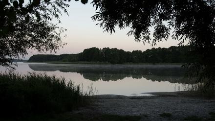 An verschiedenen Stellen des Seddiner Sees wurden Blaualgen beobachtet.