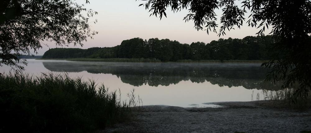 An verschiedenen Stellen des Seddiner Sees wurden Blaualgen beobachtet.