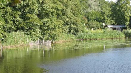Das Unglück ereignete sich am Dienstagabend am Caputher See.