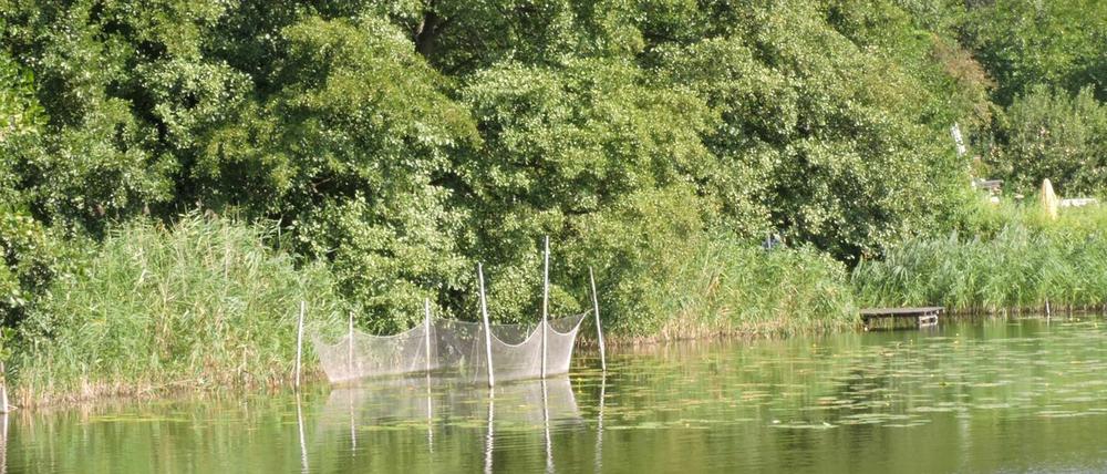 Das Unglück ereignete sich am Dienstagabend am Caputher See.