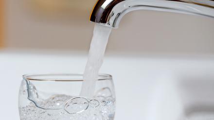 Potsdams Wasserpreise sollen steigen. Doch wie stark?