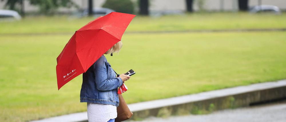 Bis Samstag könnte es in Brandenburg recht nass werden - Regen ist angesagt.
