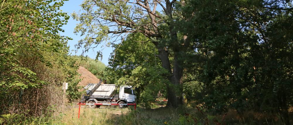 In der Fresdorfer Heide ist eine Deponie für Bauschutt geplant - die zweitgrößte Bauschuttdeponie Brandenburgs.