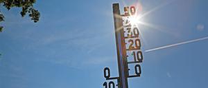 Potsdam erwarten in dieser Woche hohe Temperaturen.