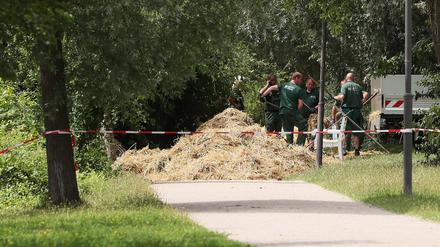 Nach der Sprengung des Blindgängers wurde am Montag auf der Freundschaftsinsel aufgeräumt.