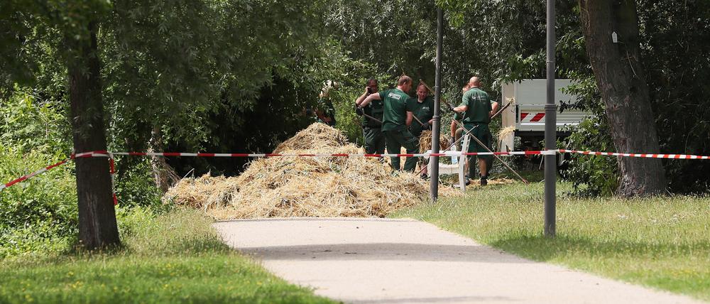 Nach der Sprengung des Blindgängers wurde am Montag auf der Freundschaftsinsel aufgeräumt.