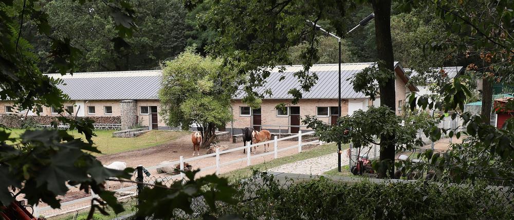 Blick auf den Kinderbauernhof in Groß Glienicke.