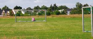 Bald in wettkampftauglich? Auf einer Streuobstwiese am Westrand des Volksparks sollen zwei neue Sportplätze samt einem Neubau entstehen.