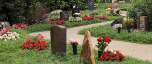 Nach Angaben der Stadtverwaltung gibt es Zerstörungen an mehr als 30 Stellen auf dem Neuen Friedhof.