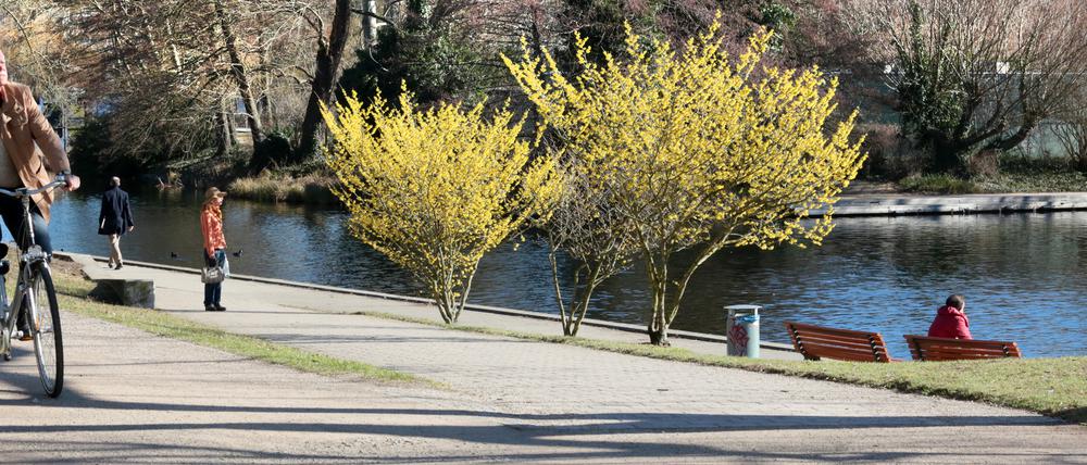 Der Frühlingsanfang auf der Freundschaftsinsel.