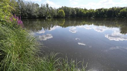 Die Idylle vor dem Knall