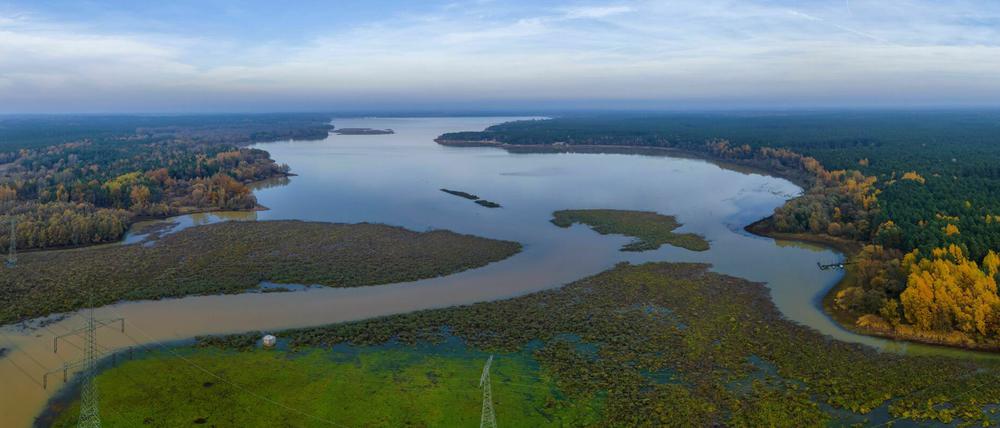 Das Land muss auf Speicherbecken zurückgreifen. Für die Spree ist das die Talsperre Spremberg. Dort betrug der Abfluss der die durchlaufende Wassermenge beschreibt vor einer Woche nur noch sechs statt elf Kubikmeter pro Sekunde.