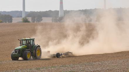 Spätsommer 2018: Ein Landwirt bearbeitet mit Traktor und Grubber den trocken Boden auf einem Acker und wirbelt dabei viel Staub auf. 