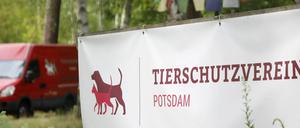 Es ist endlich soweit: Der Tierschutzverein eröffnet das Tierheim in der Michendorfer Chausee.