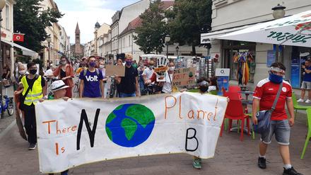 Demo von Fridays for Future Potsdam in der Brandenburger Straße.