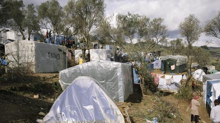 44 Flüchtlinge aus griechischen Lagern sollen nach Brandenburg kommen.