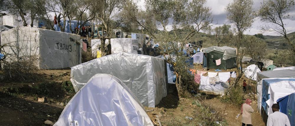 44 Flüchtlinge aus griechischen Lagern sollen nach Brandenburg kommen.