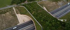 Eine Grünbrücke schützt Wildtiere und Autofahrer gleichermaßen.