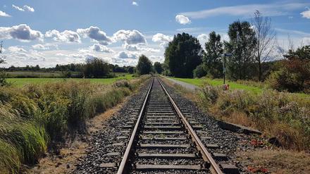 Hier sollen bald wieder Personenzüge fahren: Die Gleise der "Heidekrautbahn".
