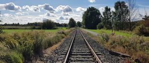 Hier sollen bald wieder Personenzüge fahren: Die Gleise der "Heidekrautbahn".