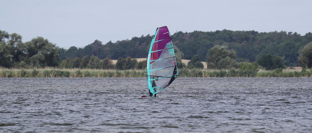 Nicht gerne bei den Ortsbeiräten gesehen: Windsurfer auf dem Fahrländer See.
