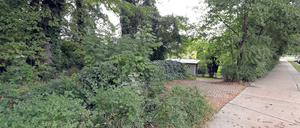 Die Vergewaltigung soll in diesem Gebiet stattgefunden haben.