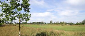 Noch ist unklar, wo in Potsdams Norden ein Sportplatz gebaut wird.