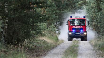 In Brandenburg herrscht weiter hohe Waldbrandgefahr.