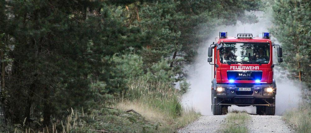 In Brandenburg herrscht weiter hohe Waldbrandgefahr.