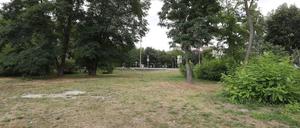 In einem Waldstück nahe der Straße An der Alten Zauche wurde Anfang August eine junge Frau vergewaltigt.