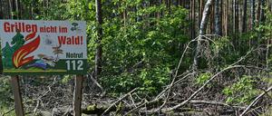 Trockenheit, Hitze und geringe Luftfeuchtigkeit sorgen in Brandenburg für hohe Waldbrandgefahr.