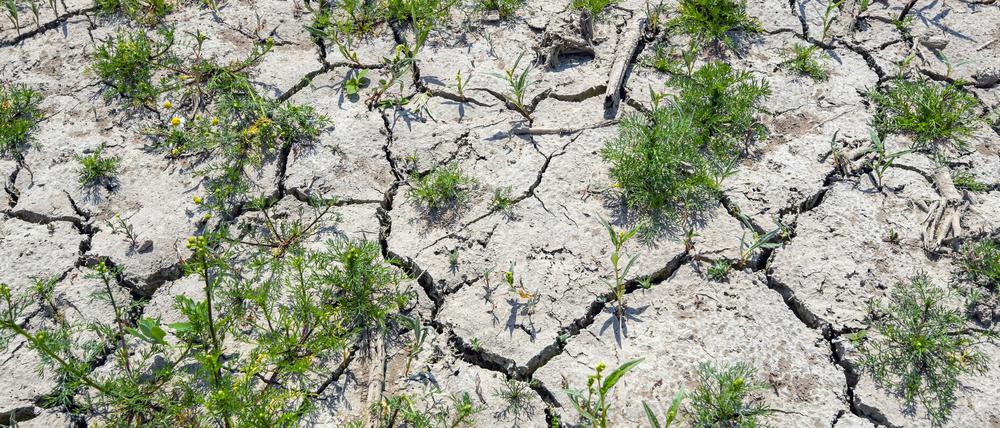 Wird in Brandenburg das Wasser knapp?