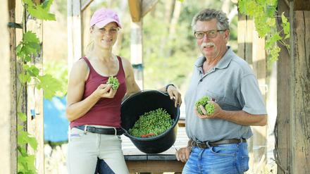 Weingut-Inhaberin Lara Wolenski und ihr Vater bewirtschaften den Weinberg in Töplitz.