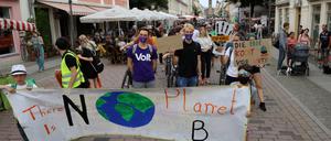 Im Juli fand die erste "Fridays-for-future"-Demo in Potsdam nach den Demonstrationseinschränkungen durch Corona statt.