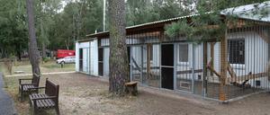 Jeder Raum hat einen Auslauf für die Tiere, der mit einer Klappe geschlossen werden kann.