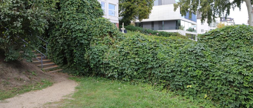 Kein Durchkommen: Der Uferweg am Griebnitzsee wurden von manchen Anwohnern gesperrt, Spaziergänger müssen die Treppe hoch.