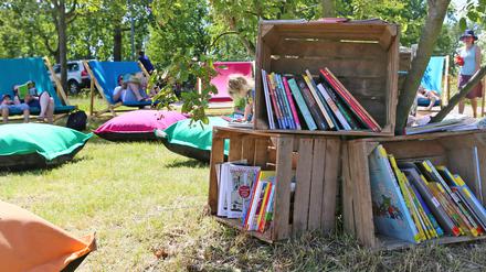 Das Bücherpicknick im Volkspark in Potsdam.