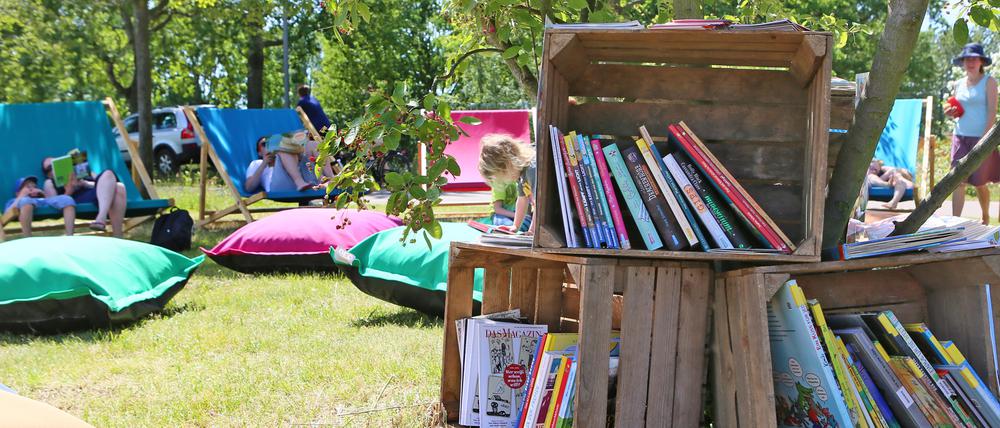 Das Bücherpicknick im Volkspark in Potsdam.