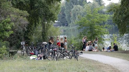 Verstöße gegen die Parkordnung, so wie hier 2019 im Neuen Garten, ziehen kaum Strafen nach sich.
