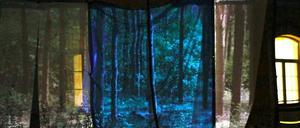 "Grandeur Nature" von Oscar Loeser und Martine Pisani hatte im Rahmen des Festivals "Kunst und Klima" Deutschlandpremiere.