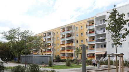 Zum Wohnblock gehören nun auch Mietergärten.