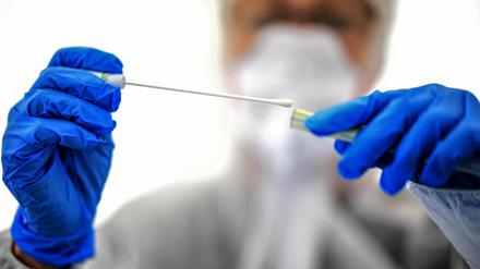 In Brandenburg wurden in den vergangenen 24 Stunden 19 Neuinfektionen gemeldet (Symbolbild).